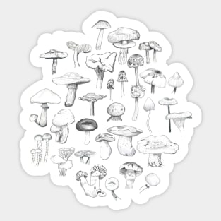 The Mushroom Gang Sticker